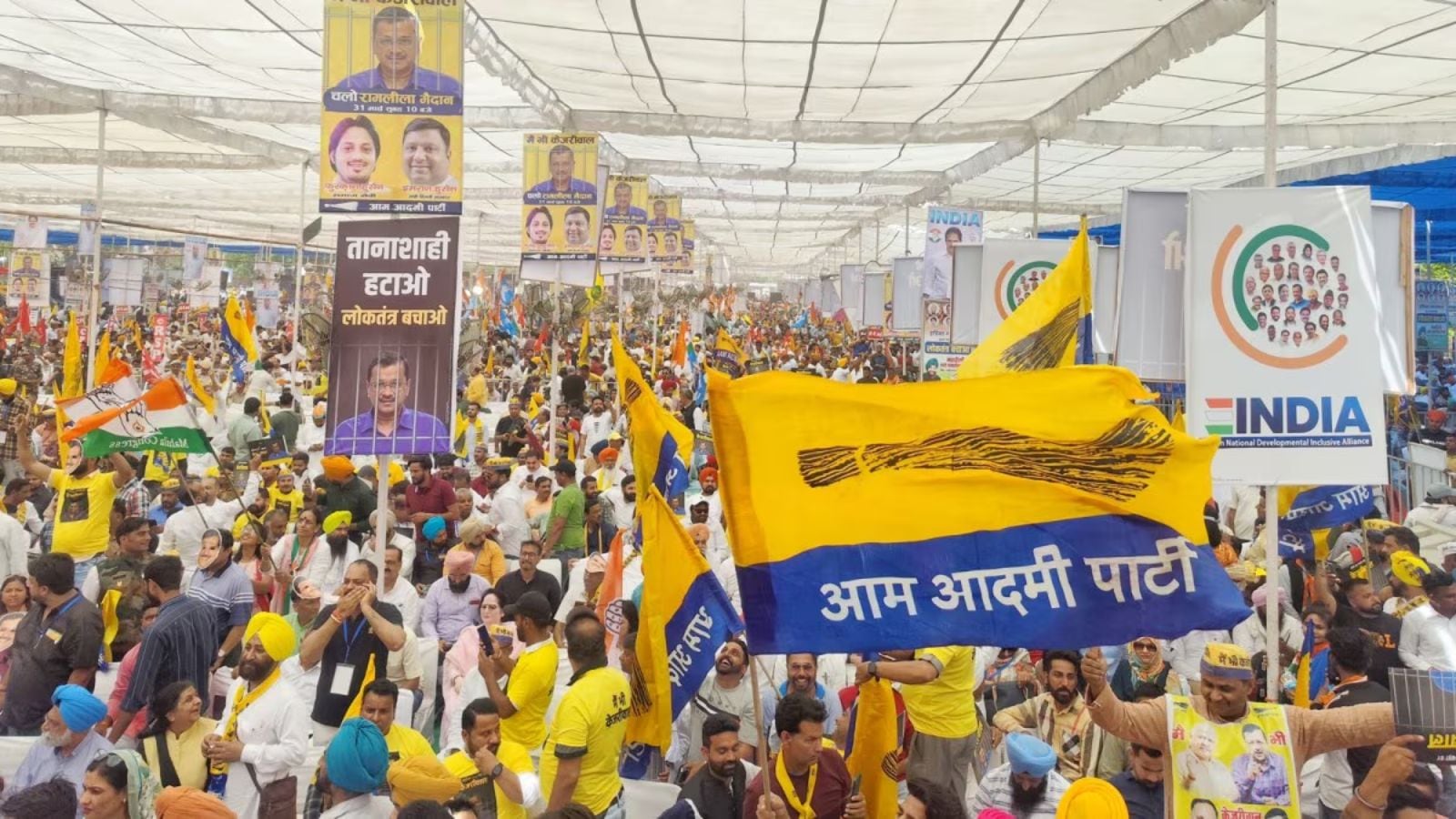 AAP wave in Mohali Municipal Councils too as party sweeps 5 of 6 civic bodies | Chandigarh News