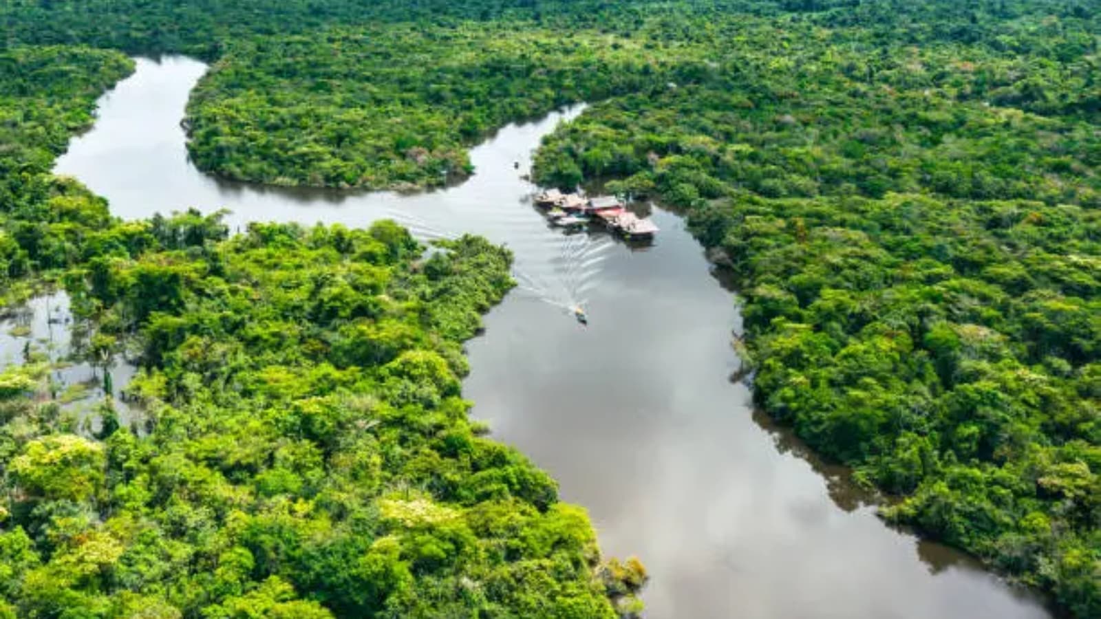 llegal miners extract billions in Amazon gold despite Brazil crackdown, Greenpeace finds | World News