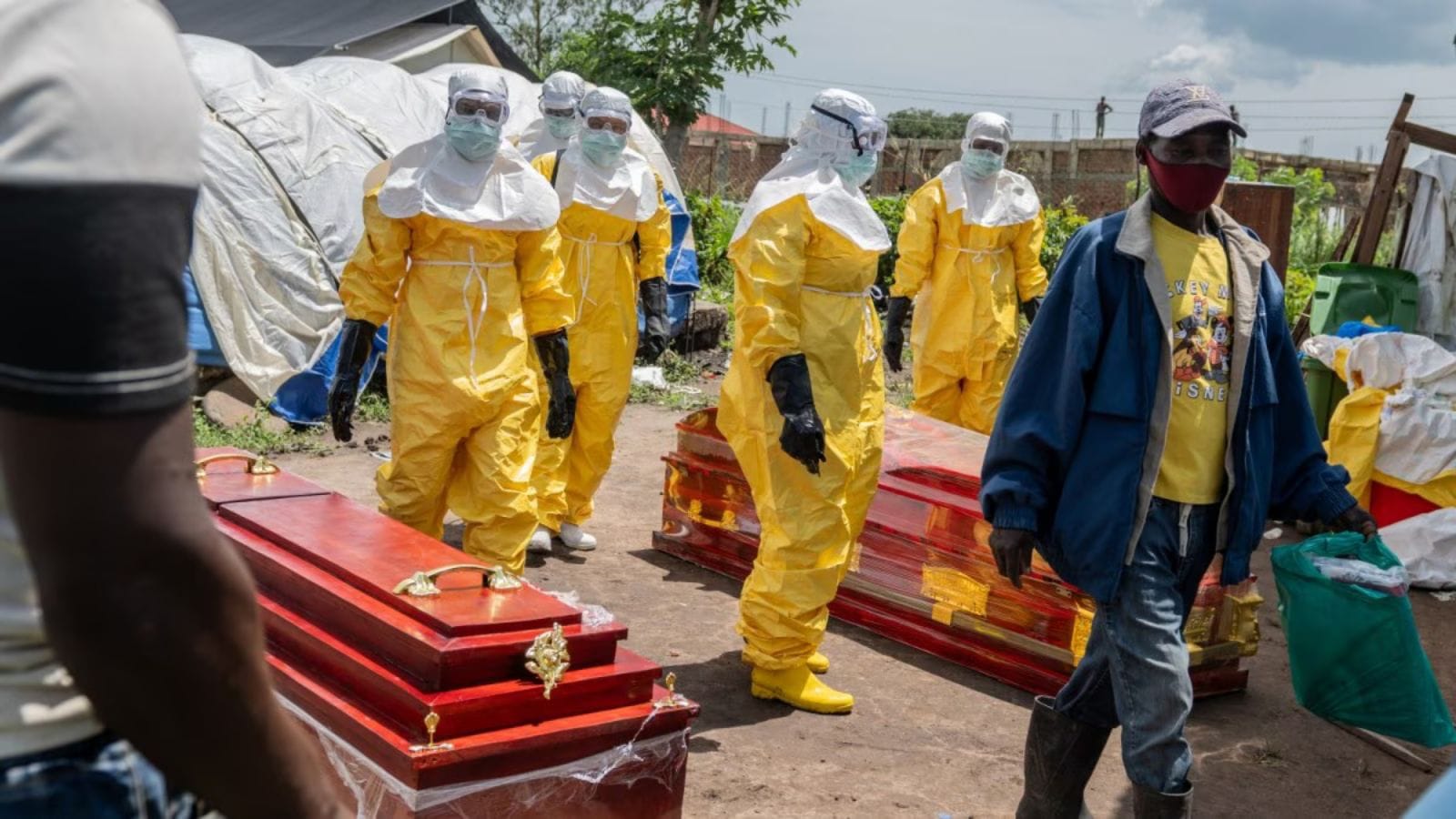 Indians urged to avoid non-essential travel to Ebola affected, neighbouring countries | Health and Wellness News