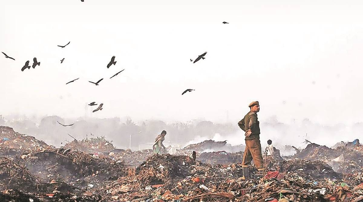 Punjab & Haryana High Court appoints commissioner to inspect Dadumajra dump, verify MC claims | Legal News
