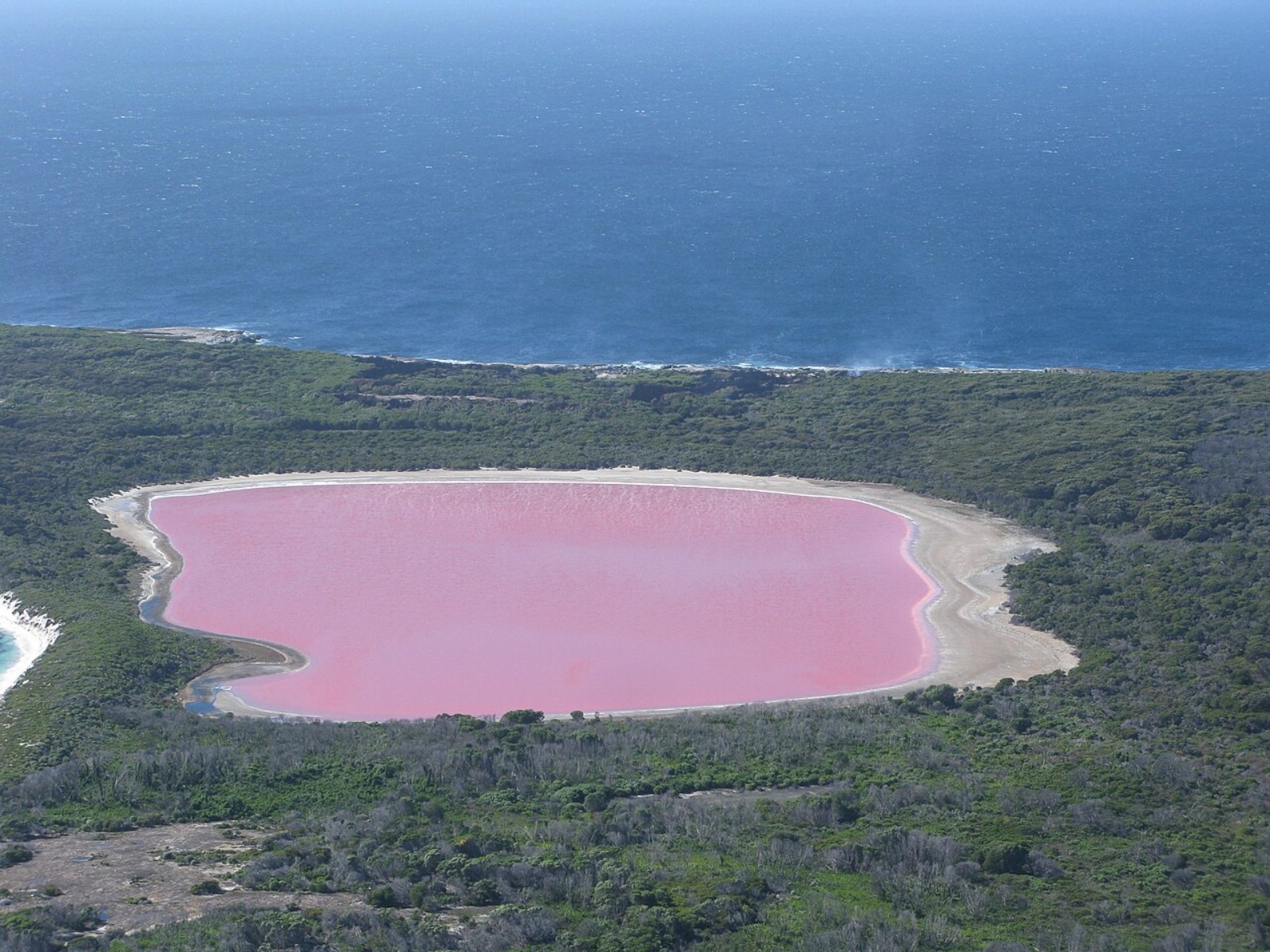 8 breathtaking pink lakes around the world | Destination-of-the-week News