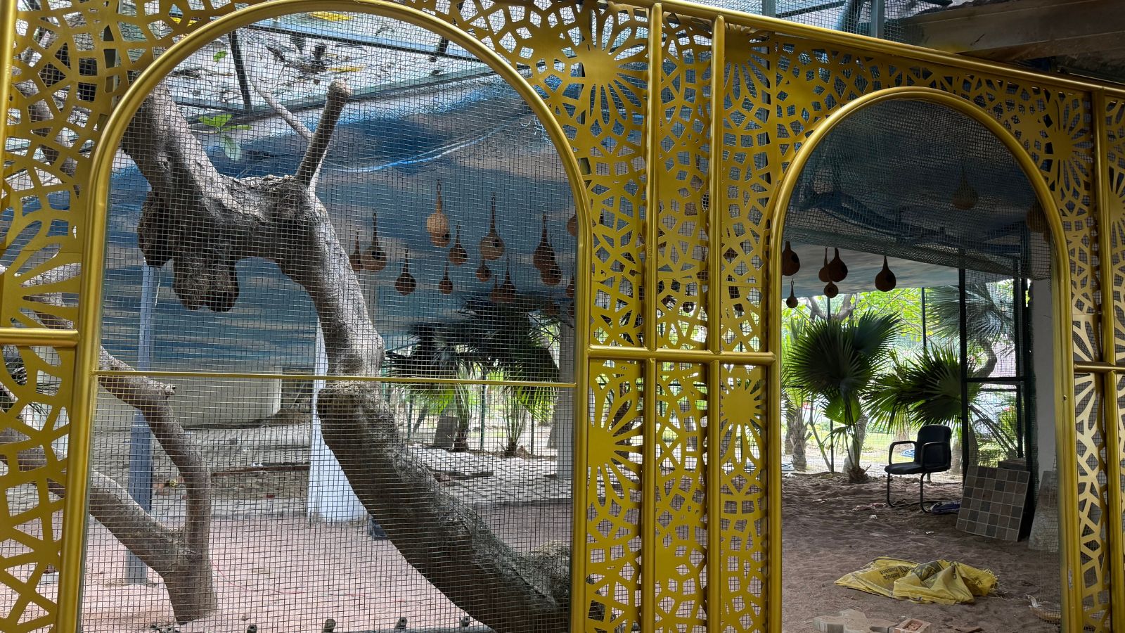 Inside the Delhi Secretariat, a quiet corner now belongs to birds | Delhi News