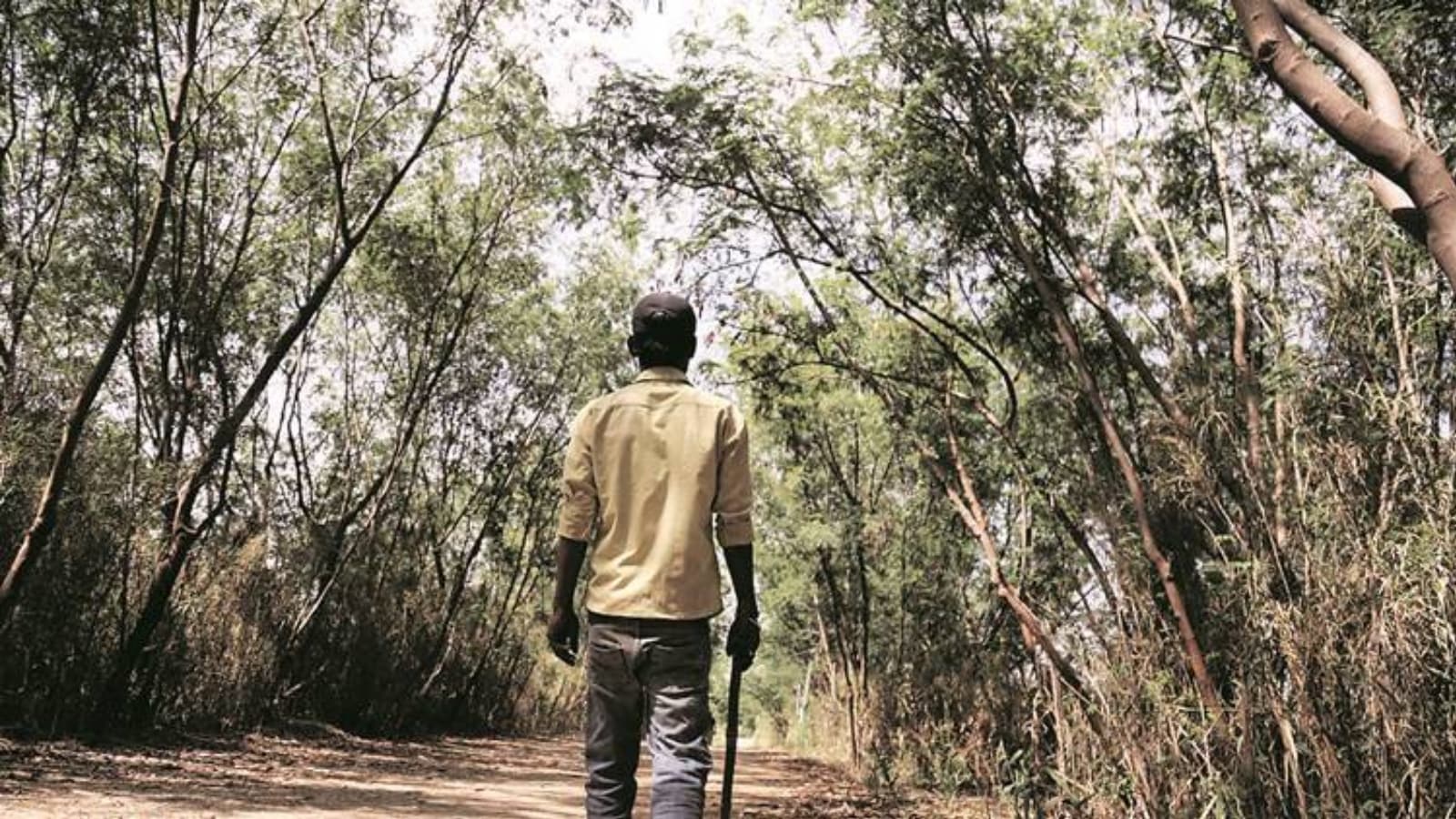 A week after tiger attack, Maharashtra Wildlife board approves Rs 260 cr plan to prevent human-wildlife conflict | Mumbai News