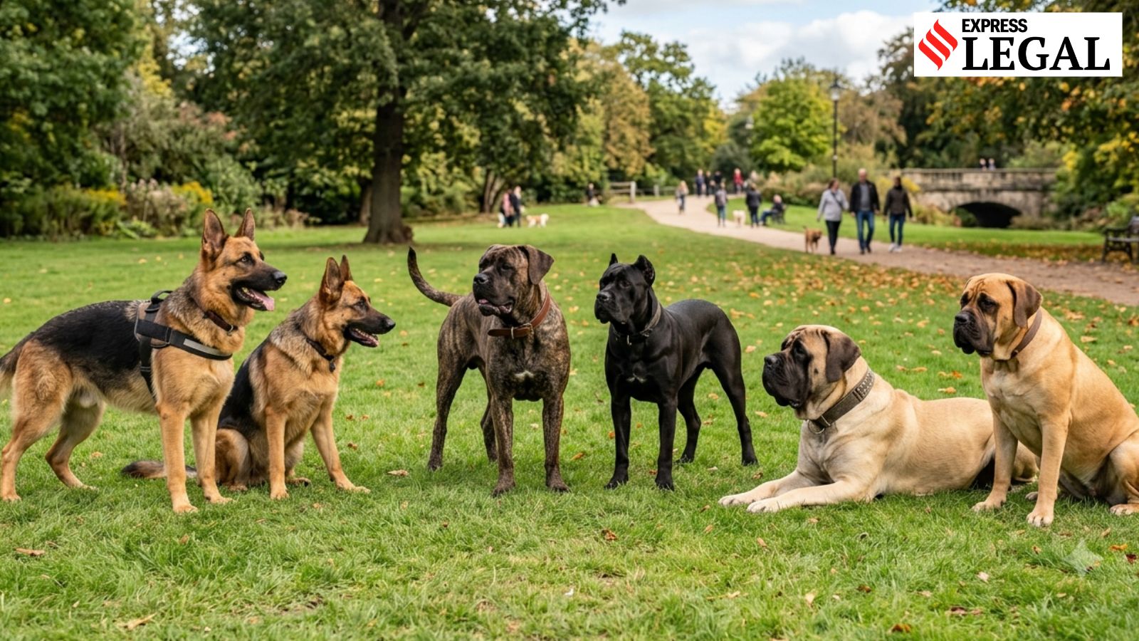 Supplier sold 166 near-expiry dog food bags, ordered to pay Rs 50,000 | Legal News