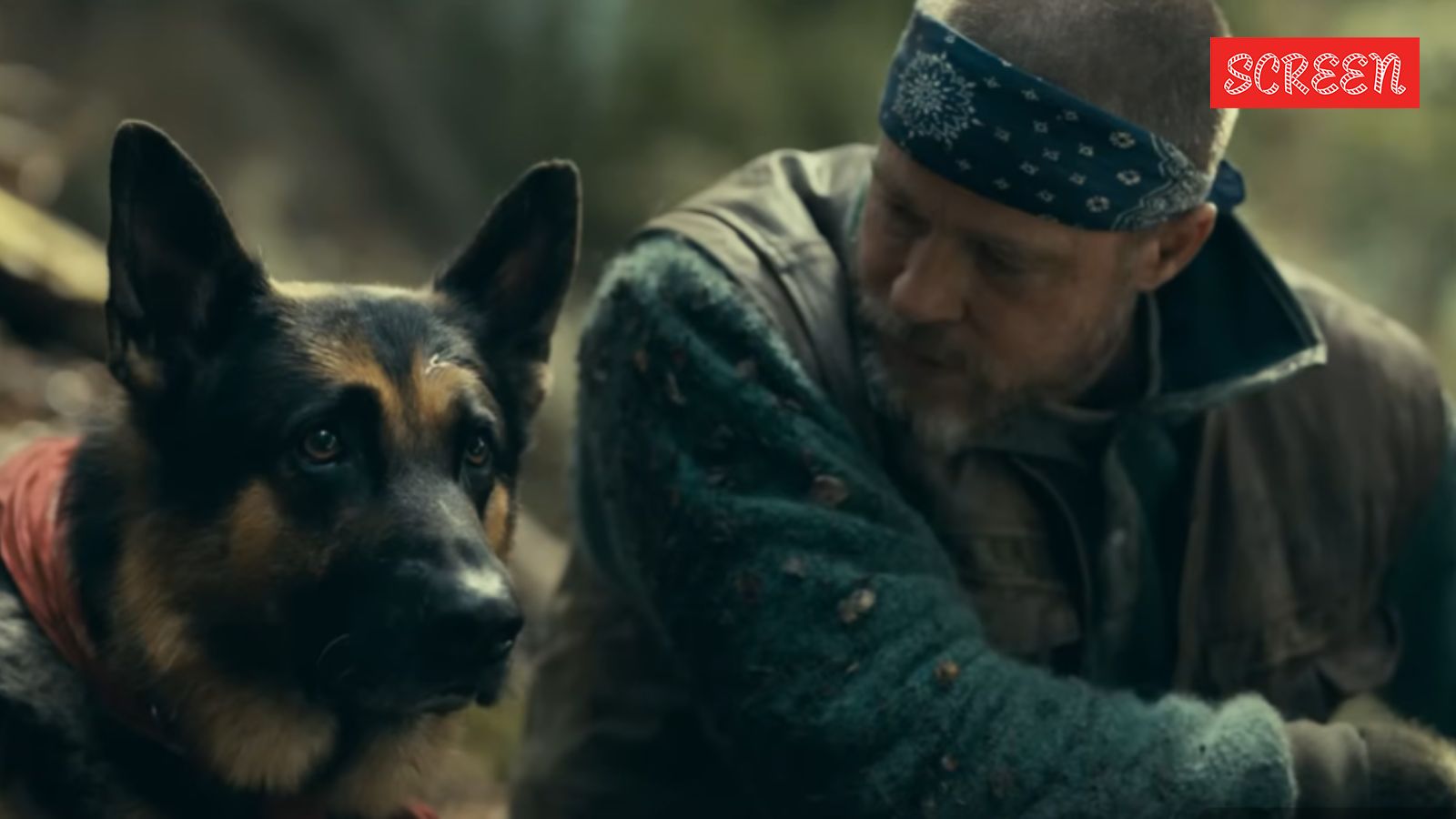Heart of the Beast trailer: Brad Pitt and his battle-scarred dog fight to survive | Hollywood News