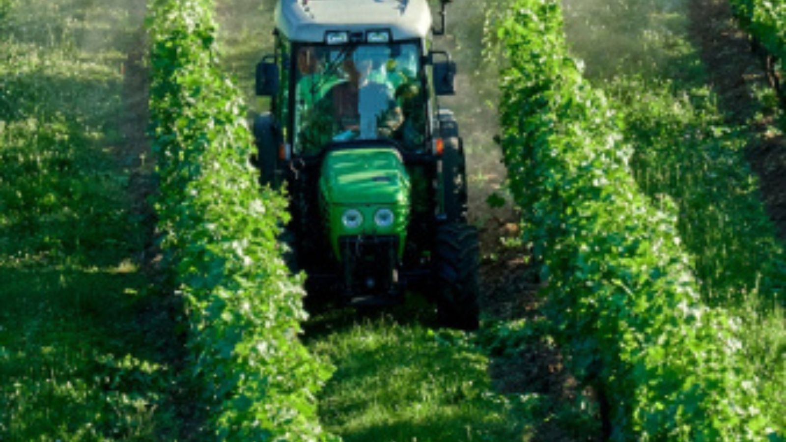 Doctors missing pesticide-linked illnesses, says PAN India report | Mumbai News