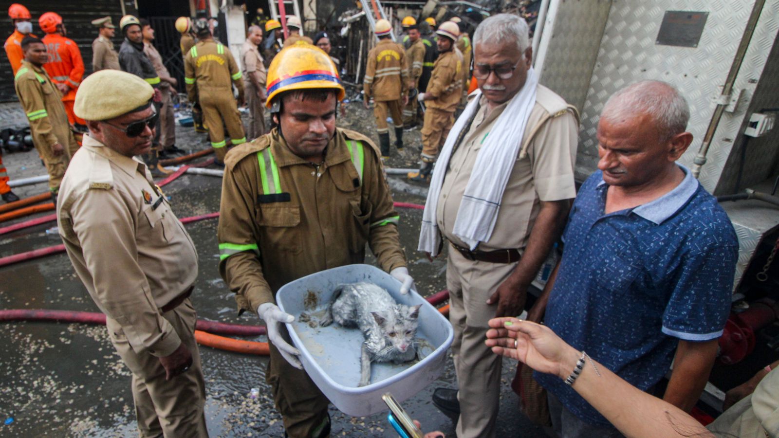 ‘Stayed till last animal was safe’: Meet the 5 who helped rescue pets from Lucknow fire | Lucknow News