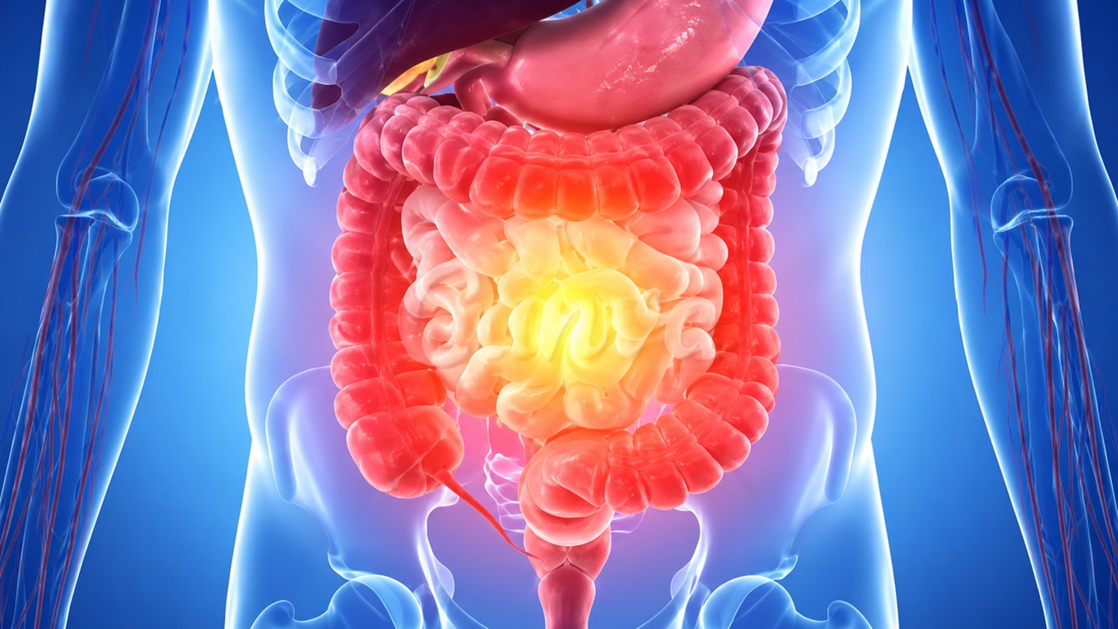 Most common gut health myths busted: ‘Not having a bowel movement…’ | Health News