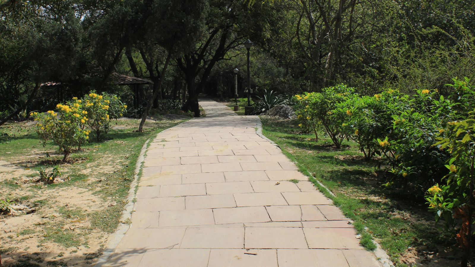 Rs 100 crore earmarked, special squads deployed – but footpaths remain a work in progress in Pune | Pune News