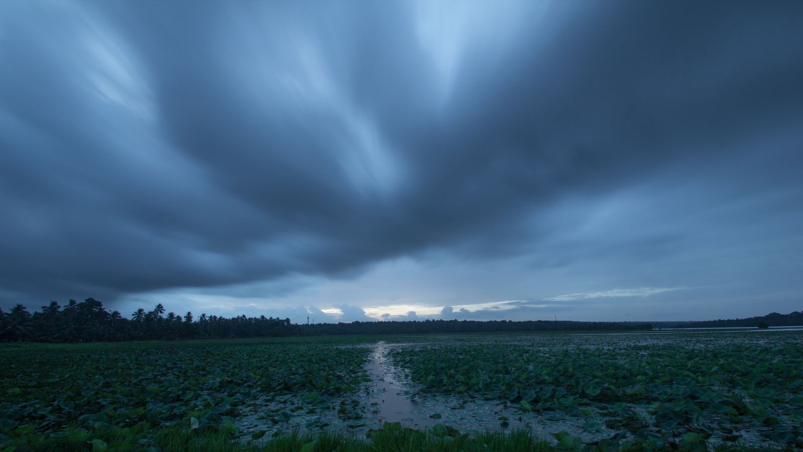 Monsoon revival likely this week, very heavy rainfall in Northeast | India News