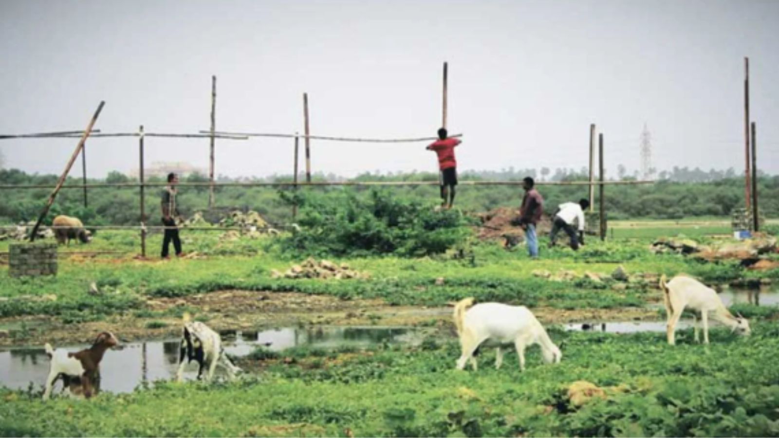 160 farmers give consent for land acquisition in Third Mumbai, but opposition brews | Mumbai News