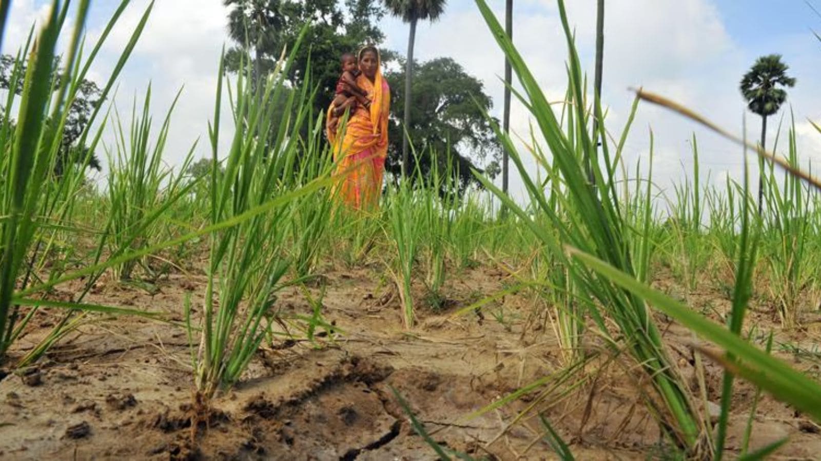 Maharashtra to introduce law recognising women as independent farmers; Bill likely in monsoon session | Mumbai News
