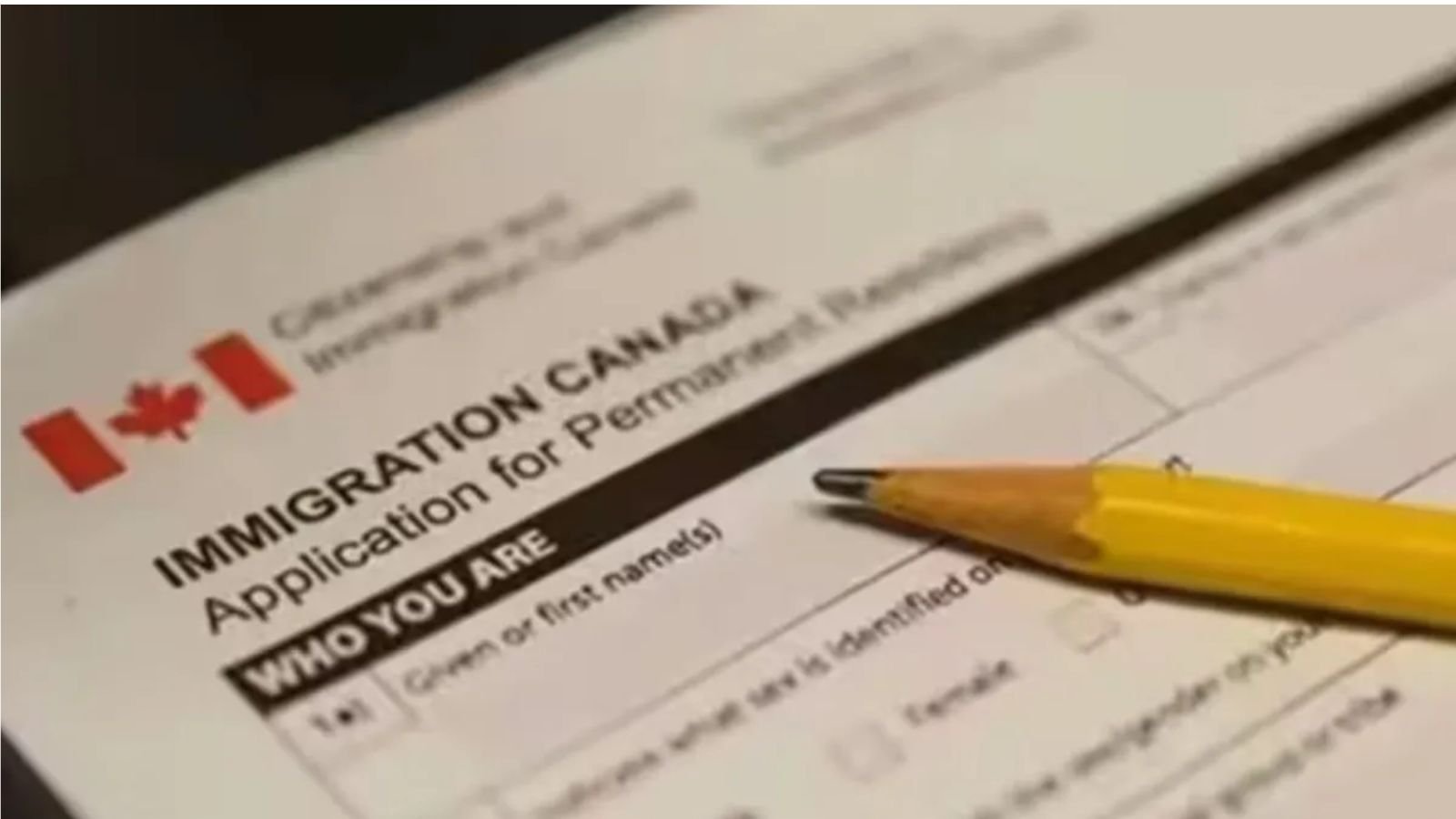 Why do Indians account for nearly 60% of the drop in Canada’s permanent residency numbers | World News