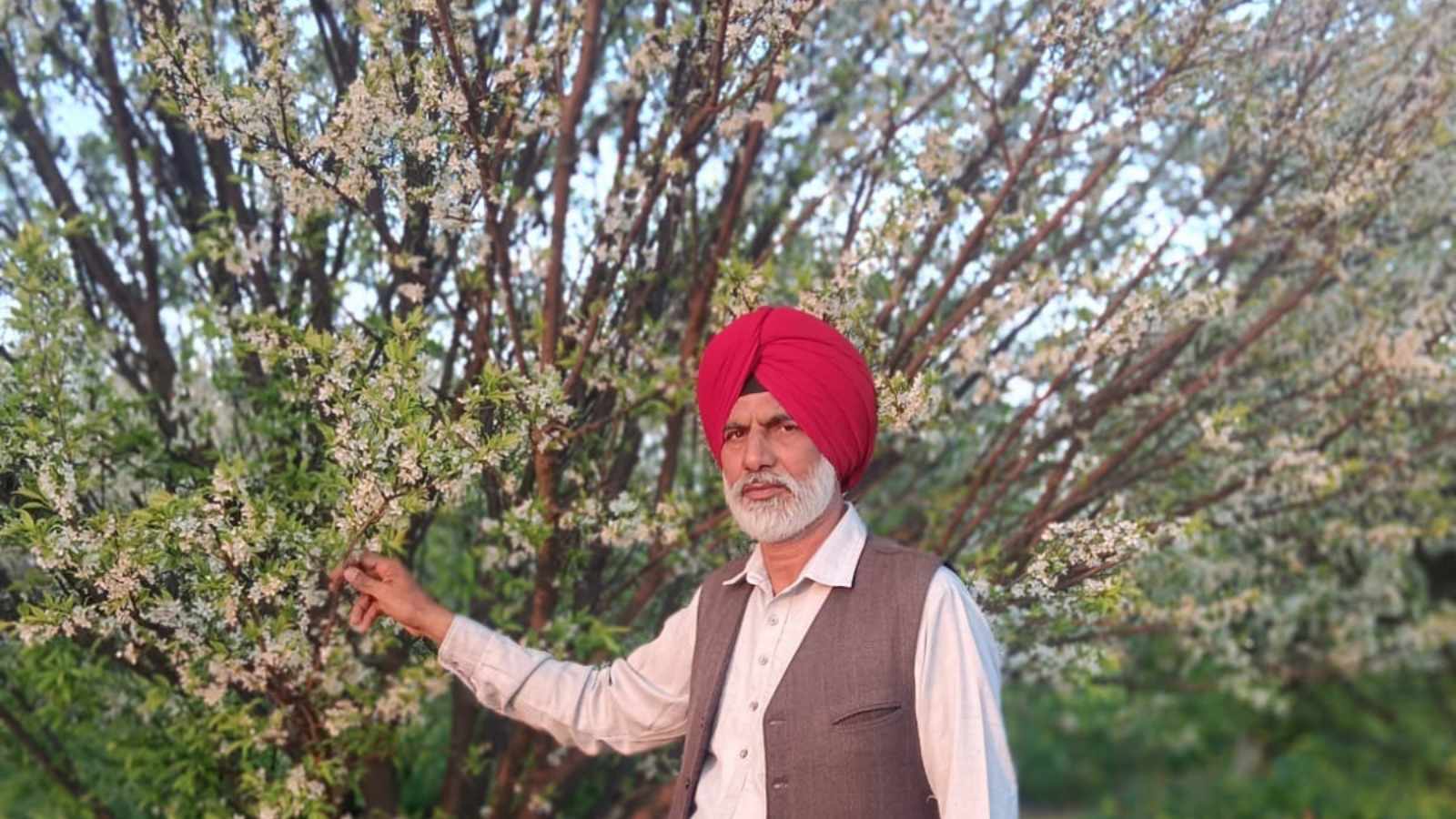From 11 acres to 26: this Muktsar farmer turned his land to triple his income | Chandigarh News