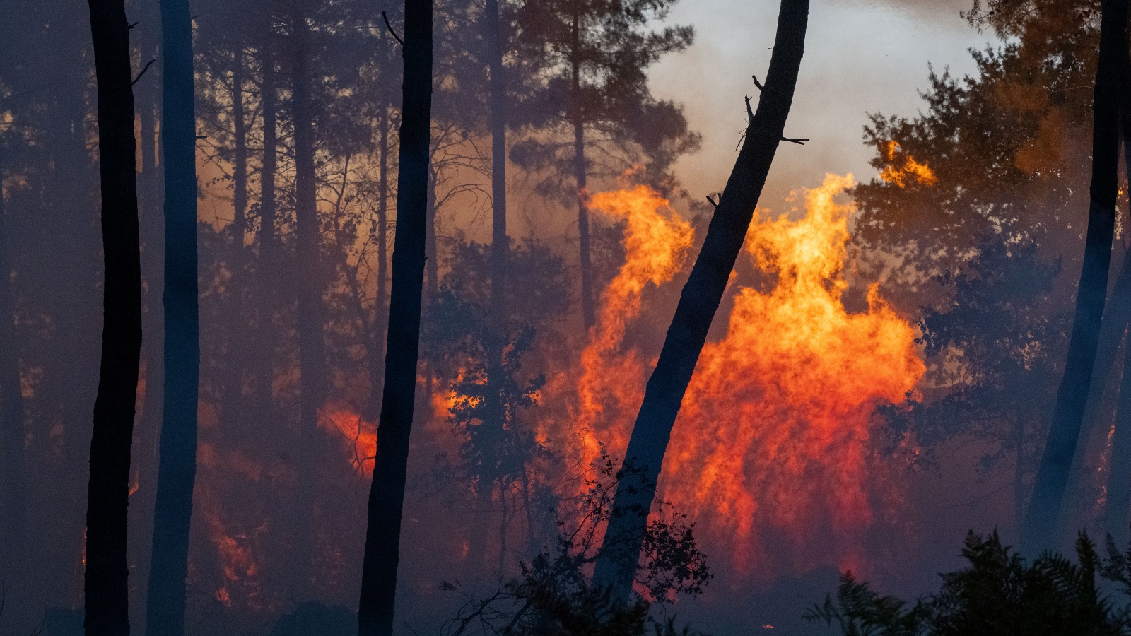 Europe battles wildfires as heatwave forces 30,000 to evacuate across France, Spain | World News