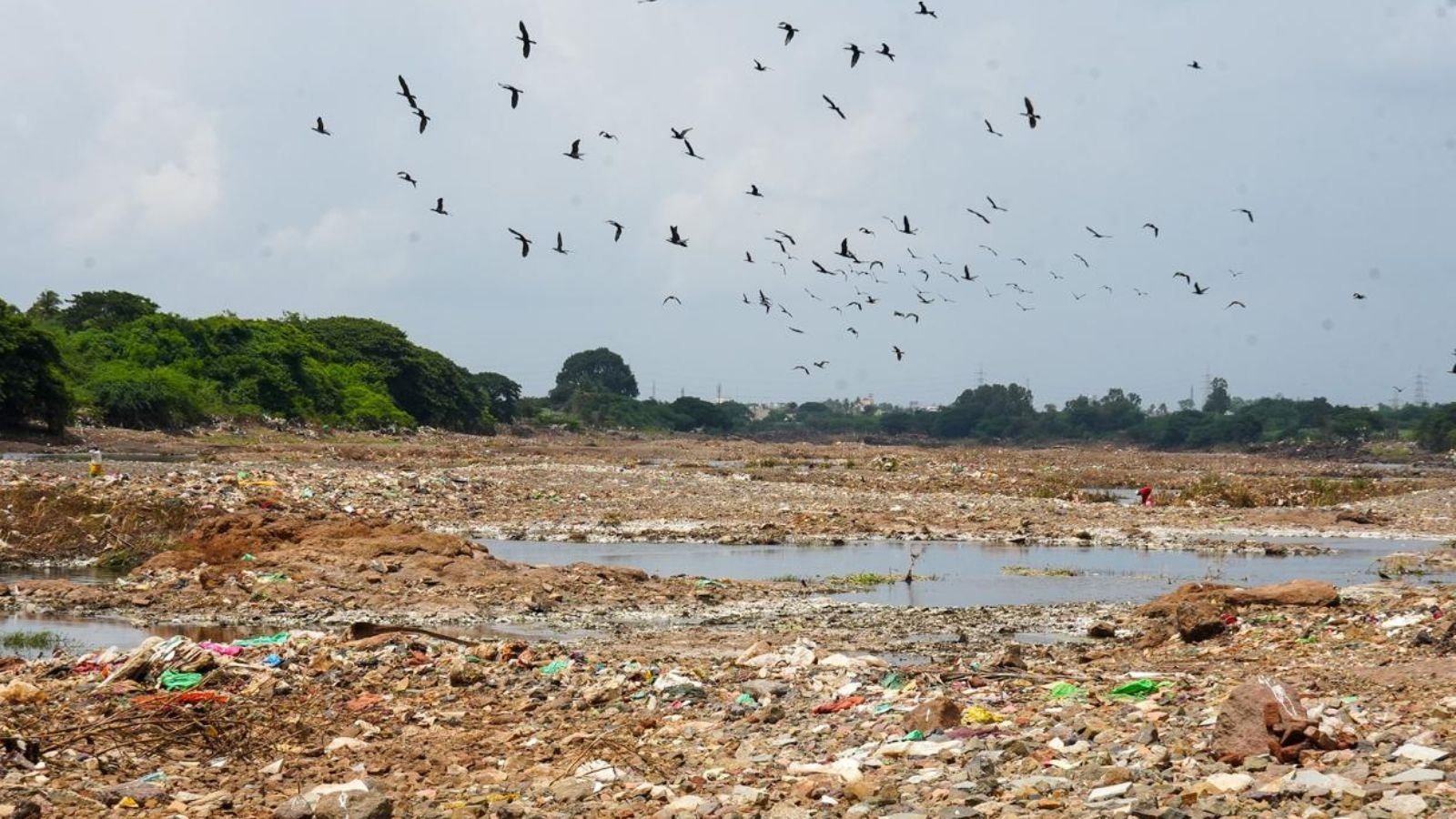 Smoke, stench and a protest: How Pune students fought riverside garbage dumping | Pune News