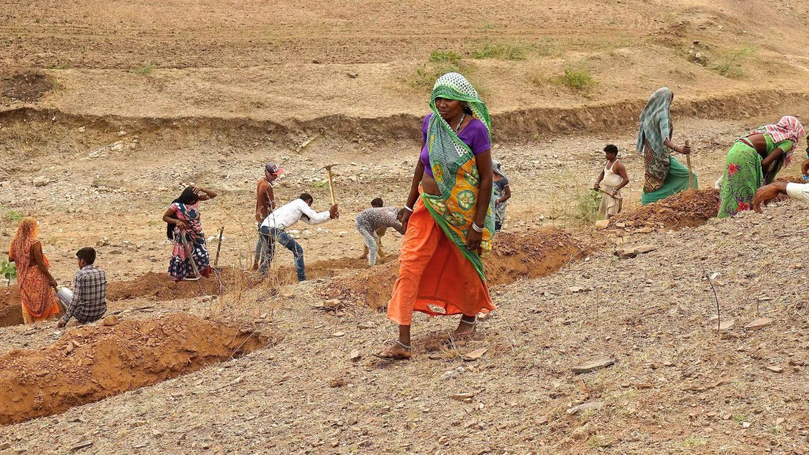 Join new scheme today or face the axe: Punjab to 2,000 rural employment staff | Chandigarh News