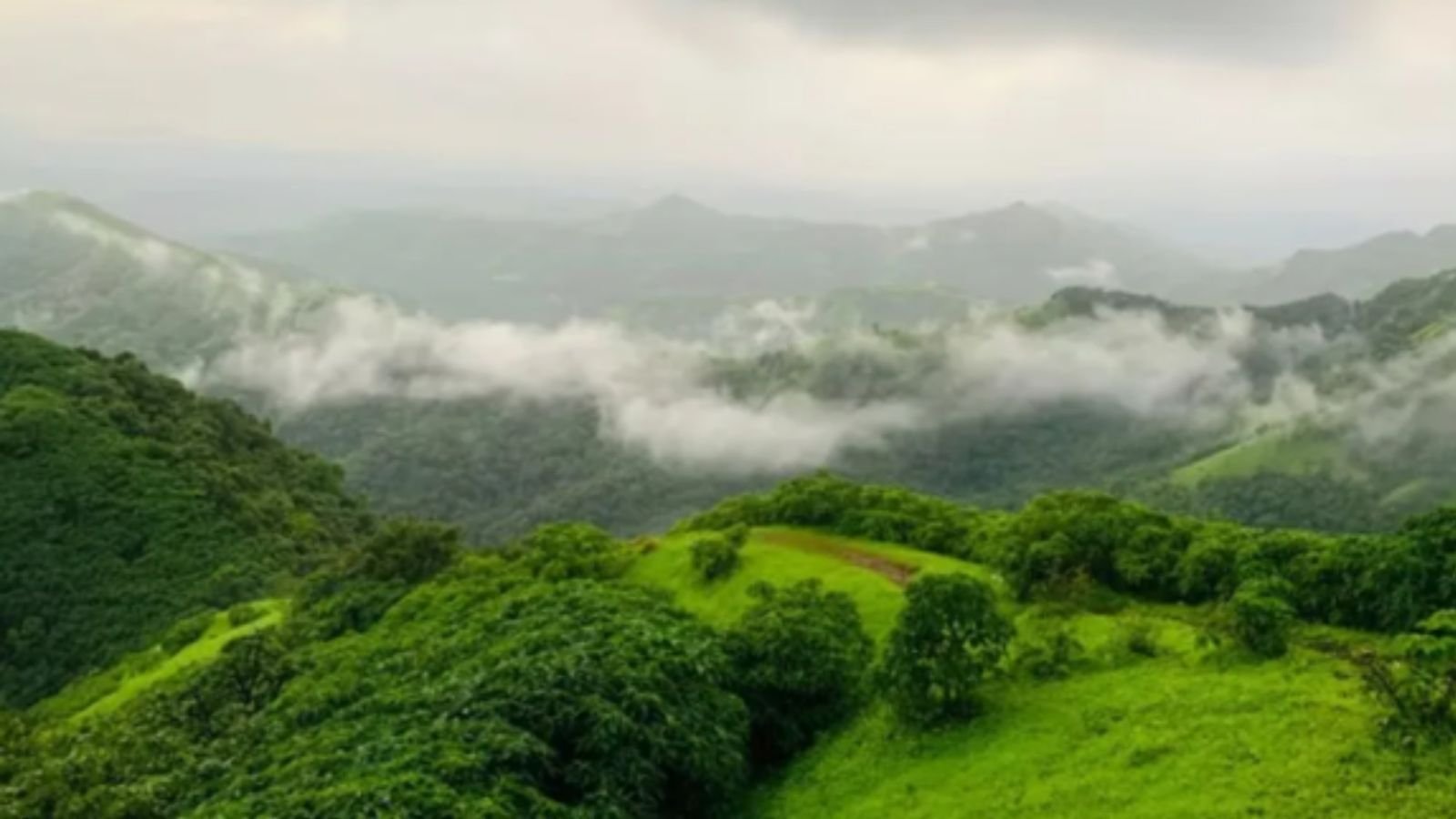 Government re-issues draft notification declaring over 56 K sq km of Western Ghats as eco-sensitive area | India News