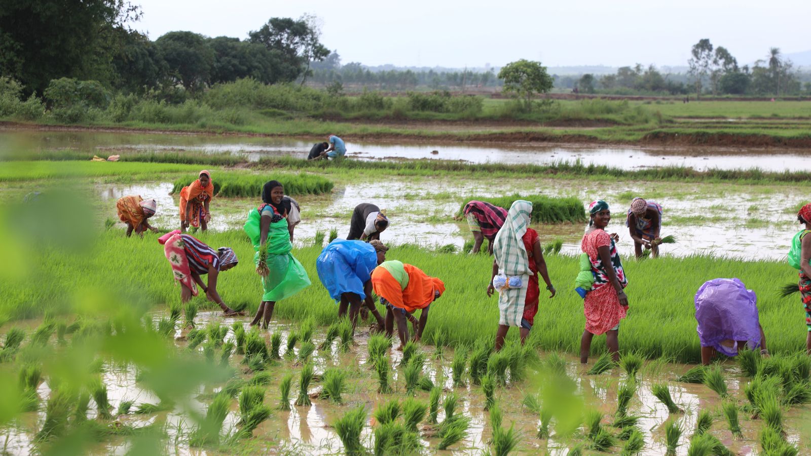 Maharashtra introduces bill to recognise women farmers | Mumbai News